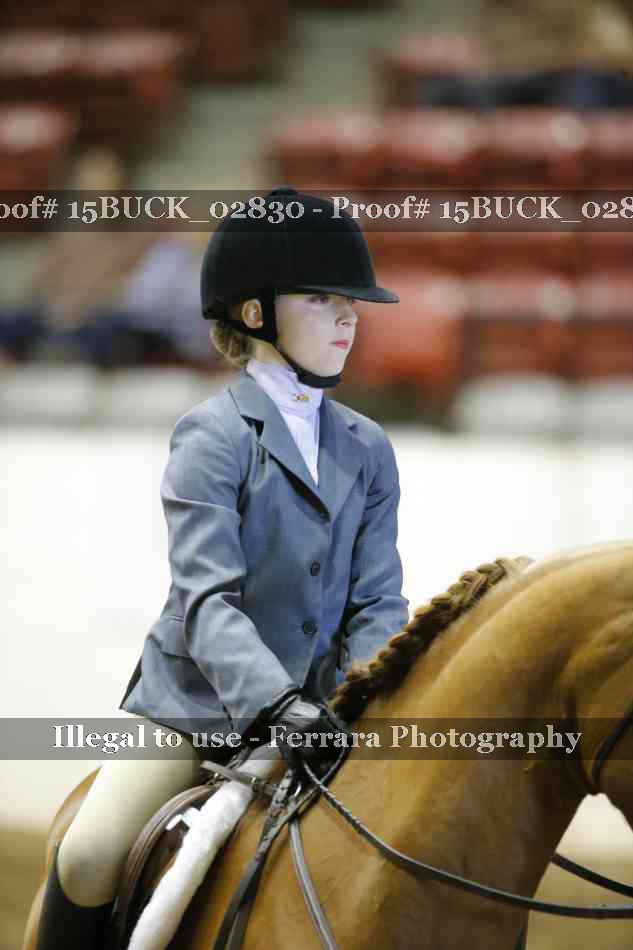 Proof Number 15BUCK_02830