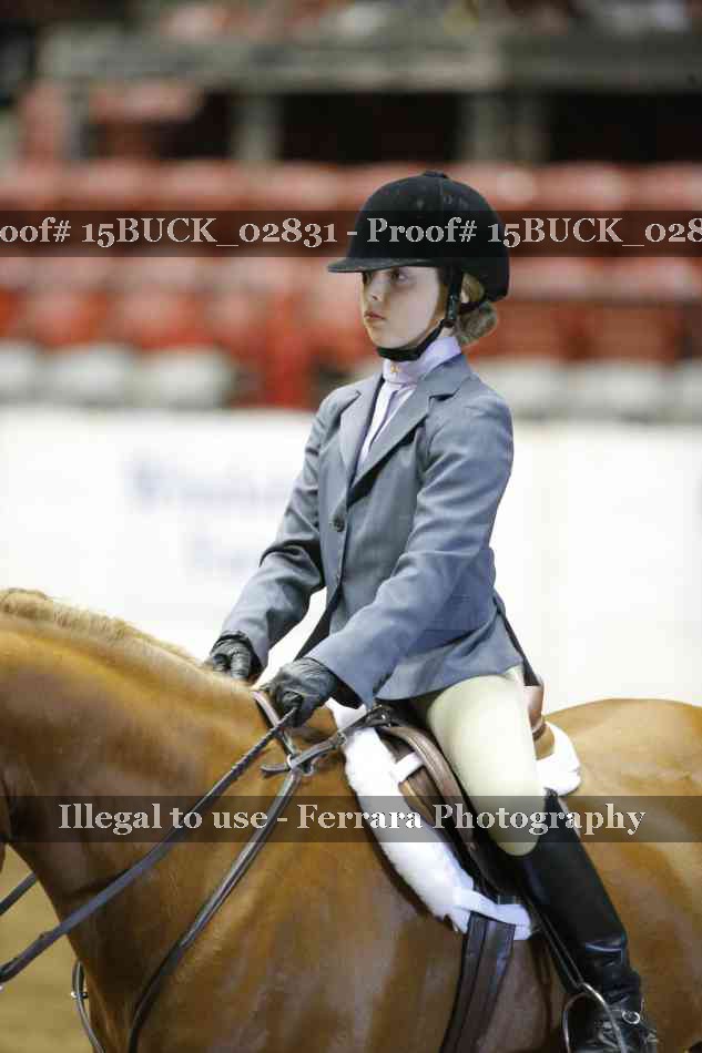 Proof Number 15BUCK_02831