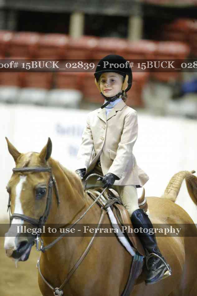 Proof Number 15BUCK_02839
