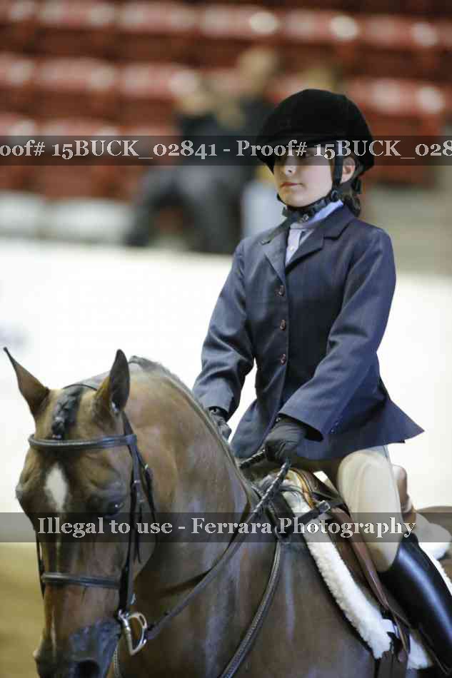 Proof Number 15BUCK_02841