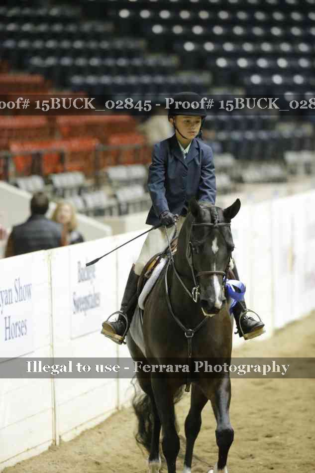 Proof Number 15BUCK_02845