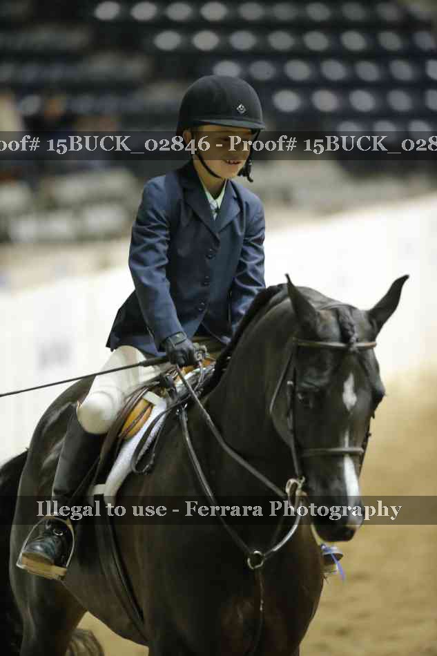 Proof Number 15BUCK_02846