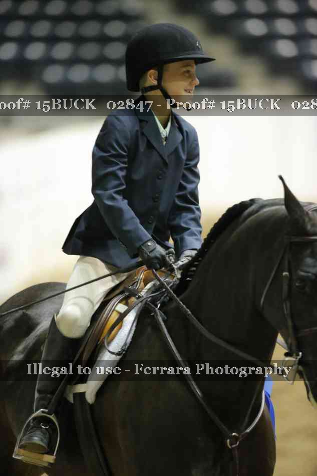 Proof Number 15BUCK_02847