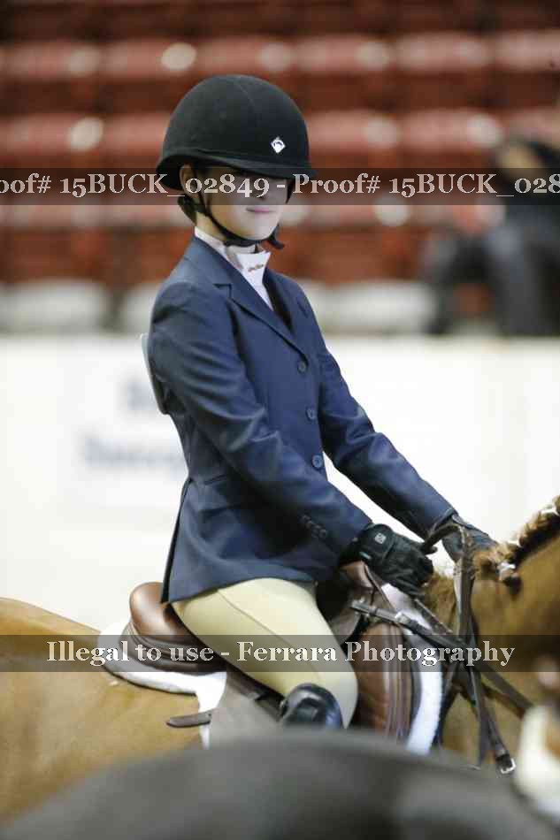 Proof Number 15BUCK_02849