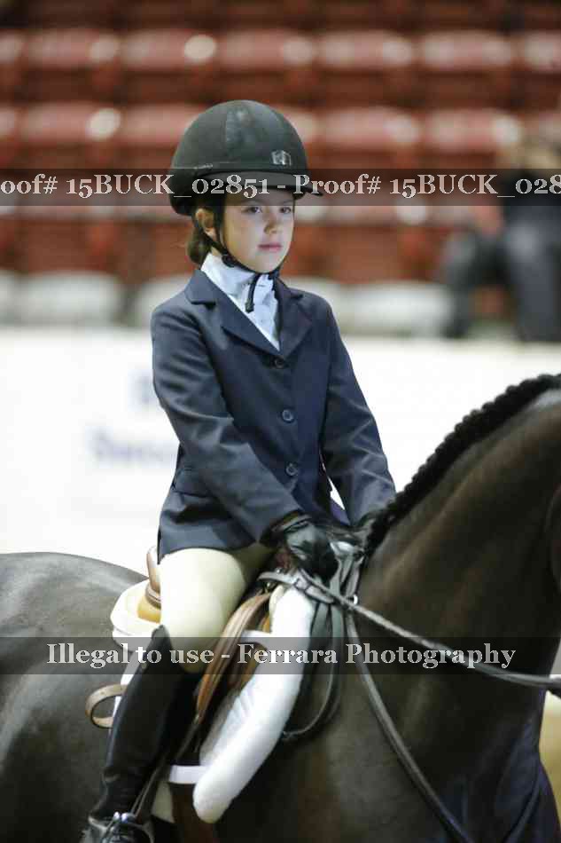 Proof Number 15BUCK_02851