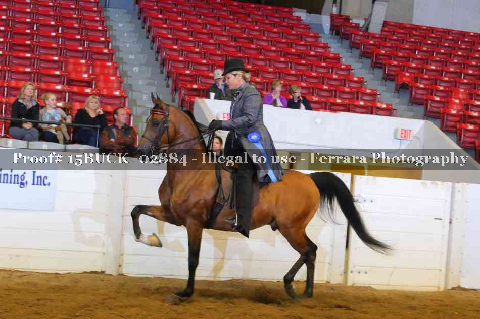 Proof Number 15BUCK_02884