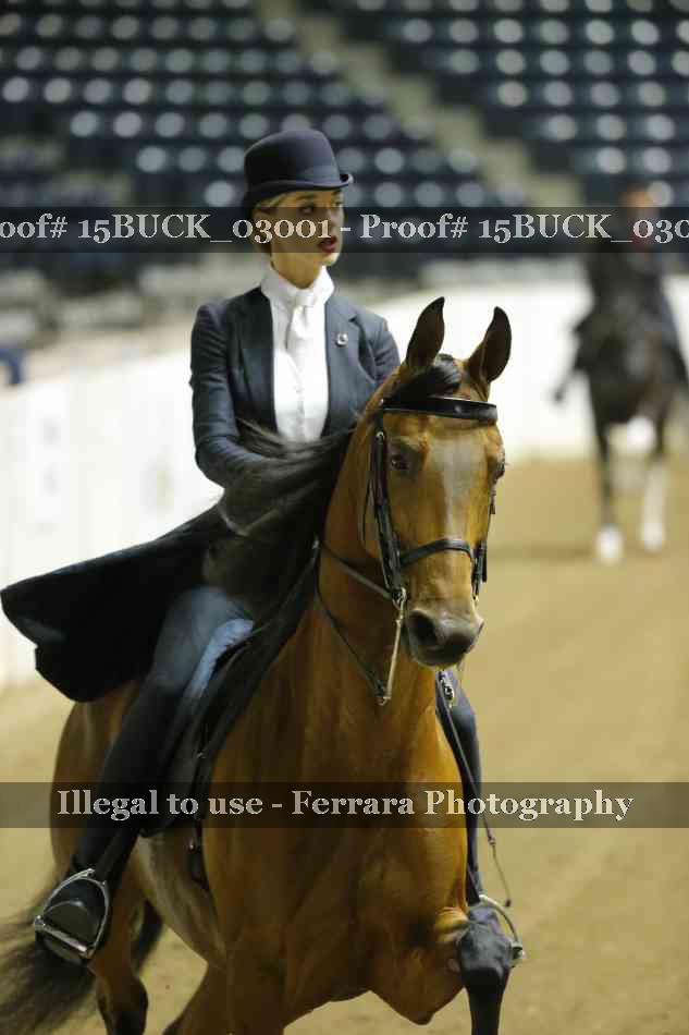 Proof Number 15BUCK_03001