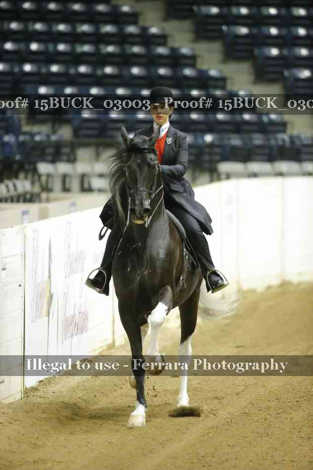 Proof Number 15BUCK_03003