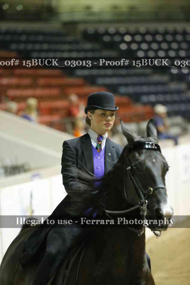 Proof Number 15BUCK_03013