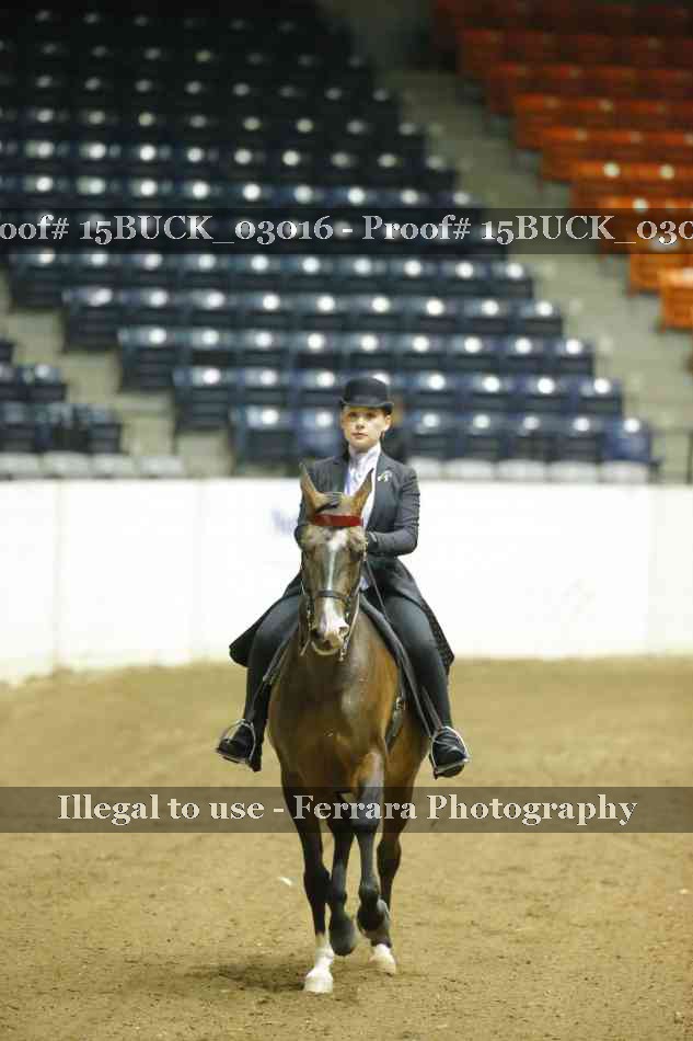 Proof Number 15BUCK_03016