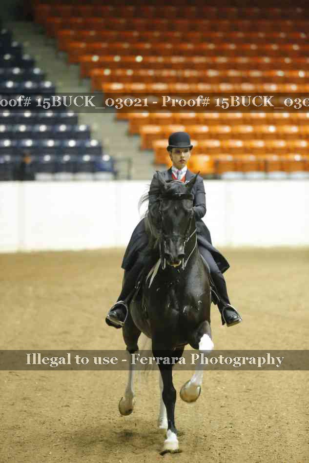 Proof Number 15BUCK_03021