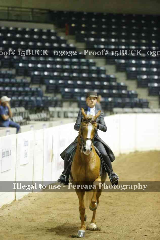 Proof Number 15BUCK_03032