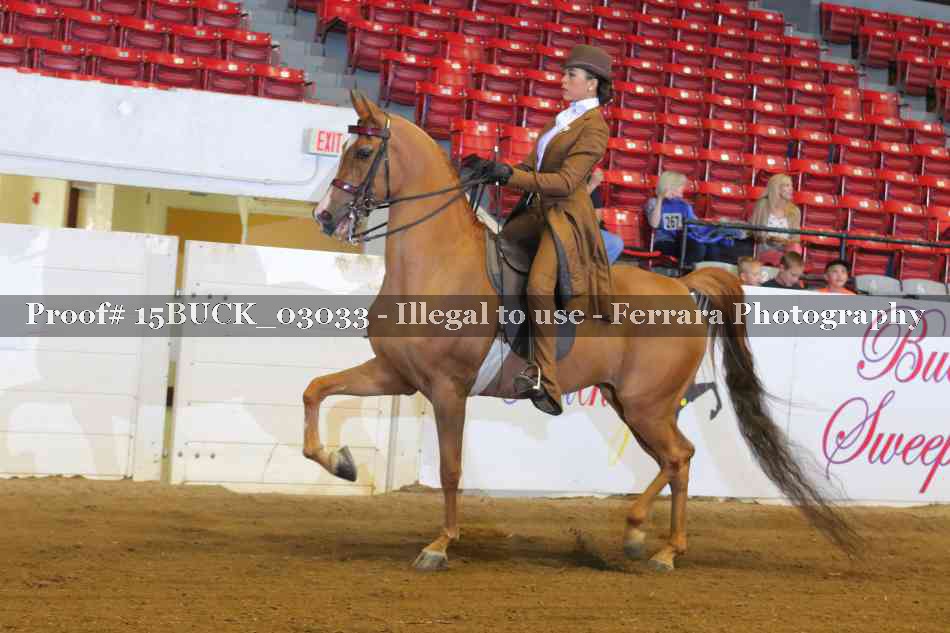 Proof Number 15BUCK_03033