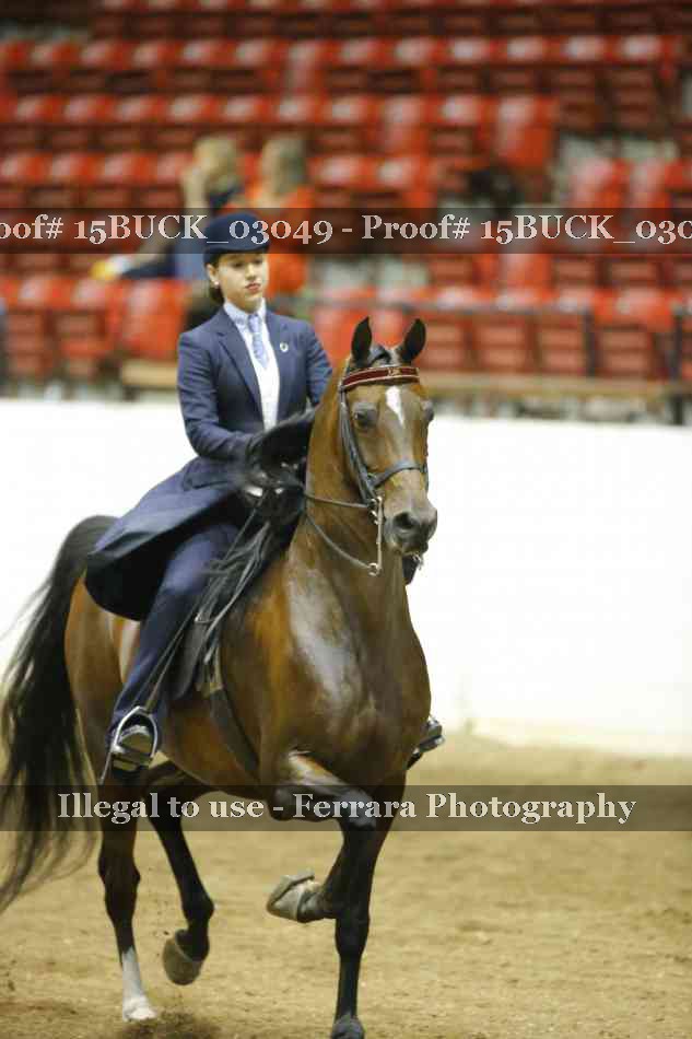 Proof Number 15BUCK_03049