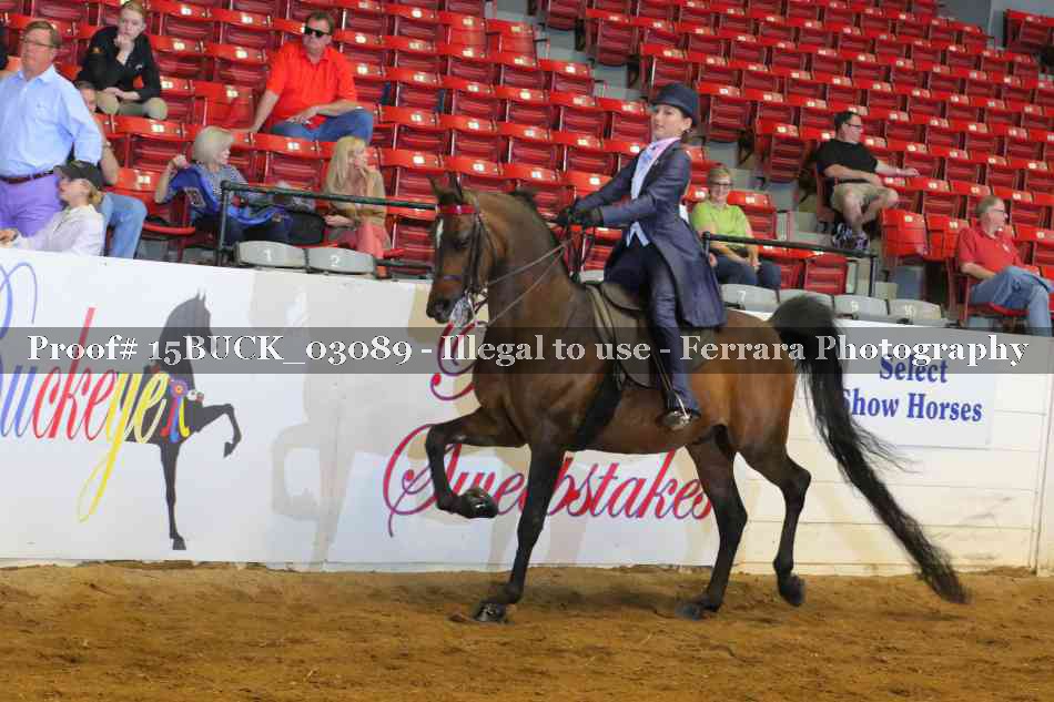 Proof Number 15BUCK_03089