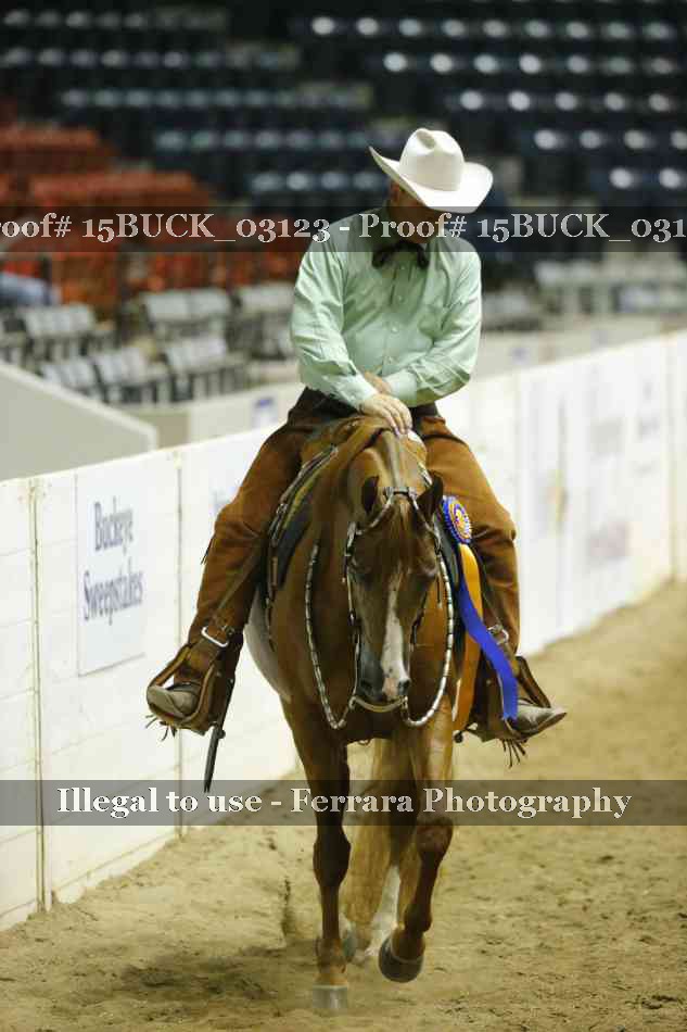 Proof Number 15BUCK_03123