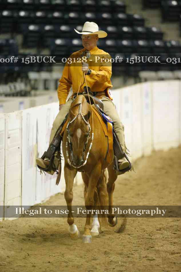 Proof Number 15BUCK_03128