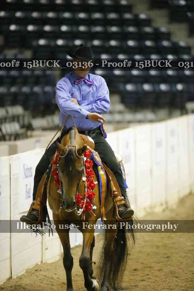 Proof Number 15BUCK_03136