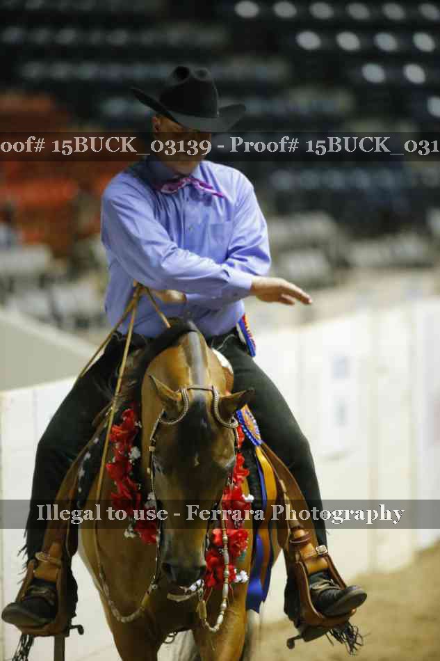 Proof Number 15BUCK_03139