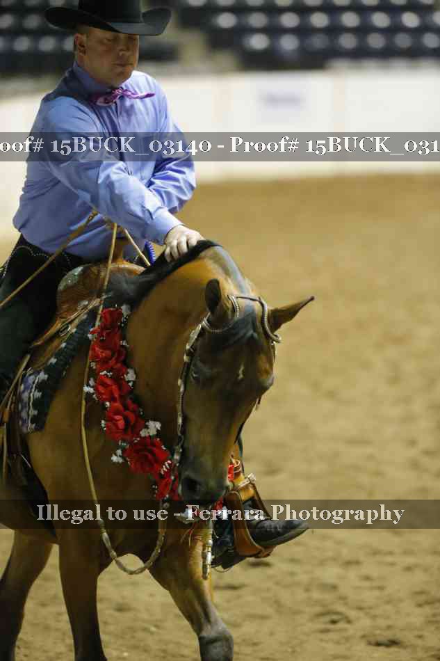 Proof Number 15BUCK_03140