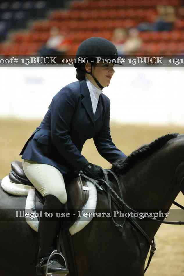 Proof Number 15BUCK_03186