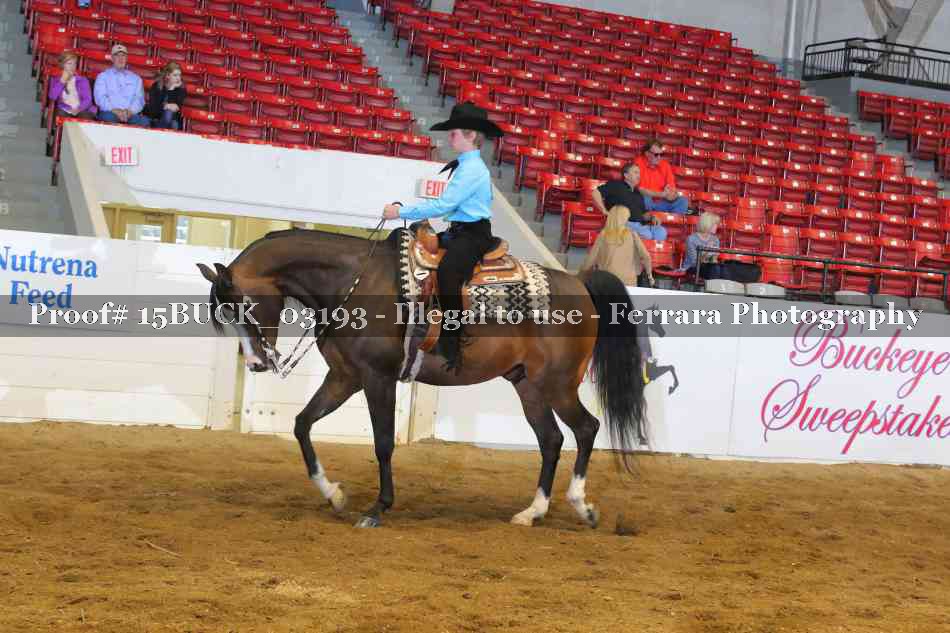 Proof Number 15BUCK_03193