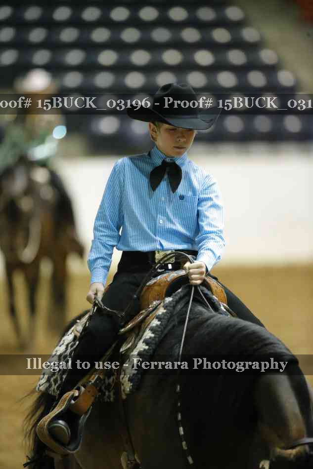 Proof Number 15BUCK_03196