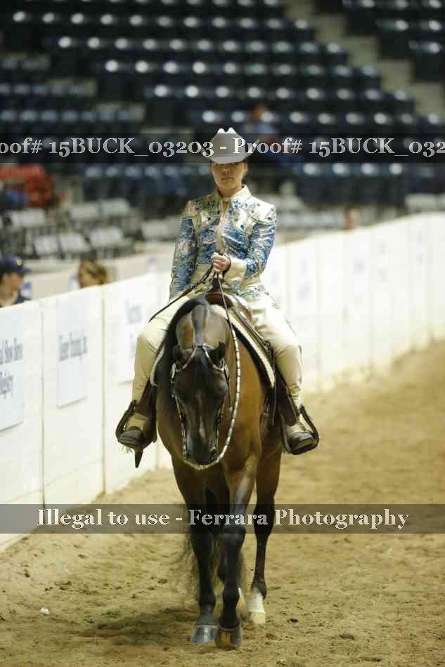 Proof Number 15BUCK_03203
