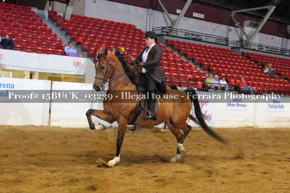 Proof Number 15BUCK_03239