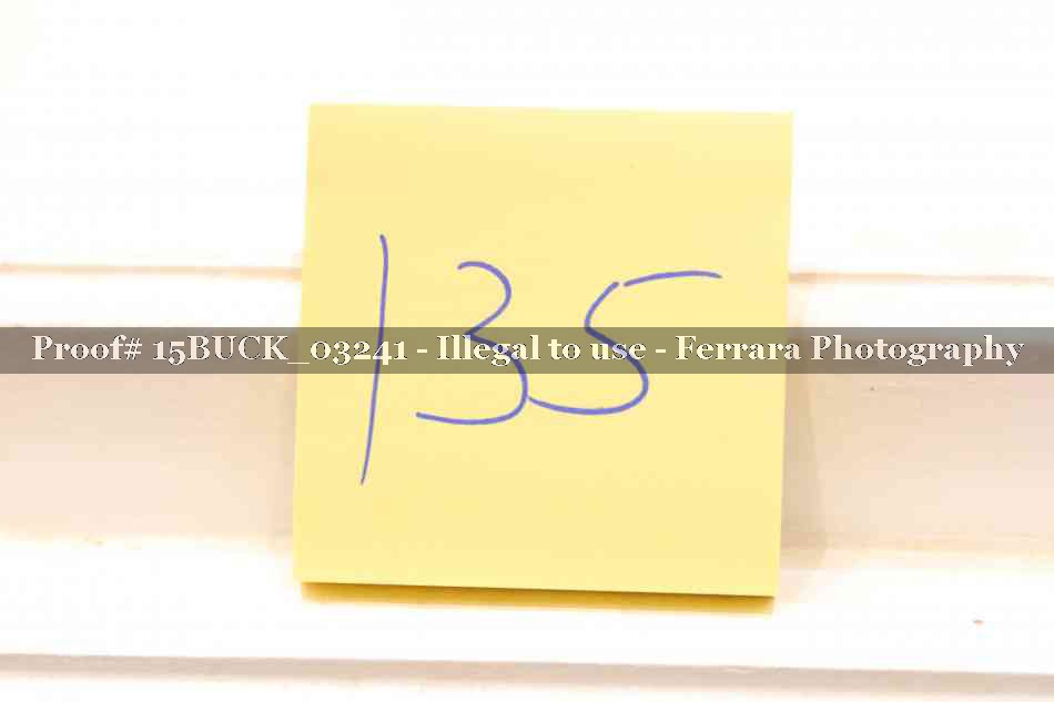 Proof Number 15BUCK_03241