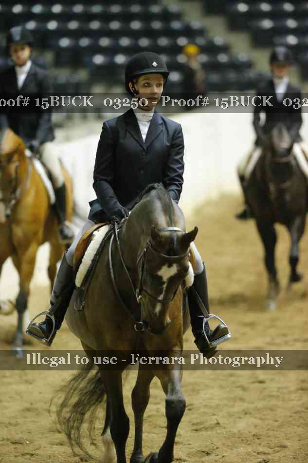 Proof Number 15BUCK_03250