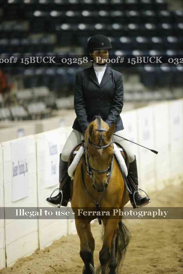 Proof Number 15BUCK_03258