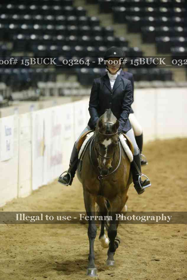 Proof Number 15BUCK_03264