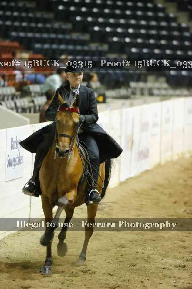 Proof Number 15BUCK_03315