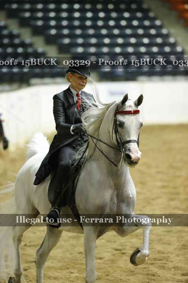 Proof Number 15BUCK_03329