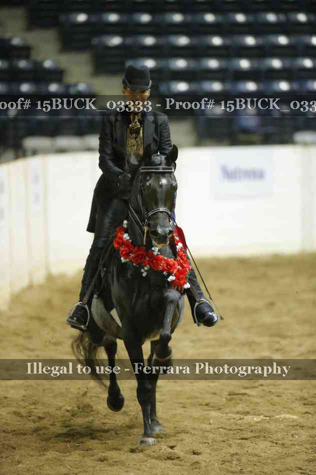 Proof Number 15BUCK_03333