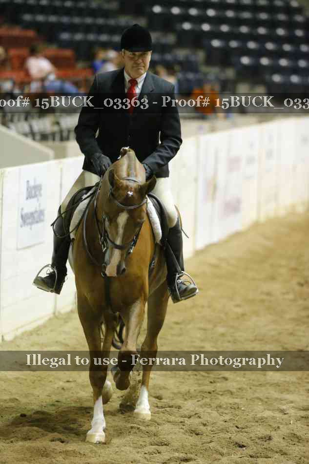 Proof Number 15BUCK_03363