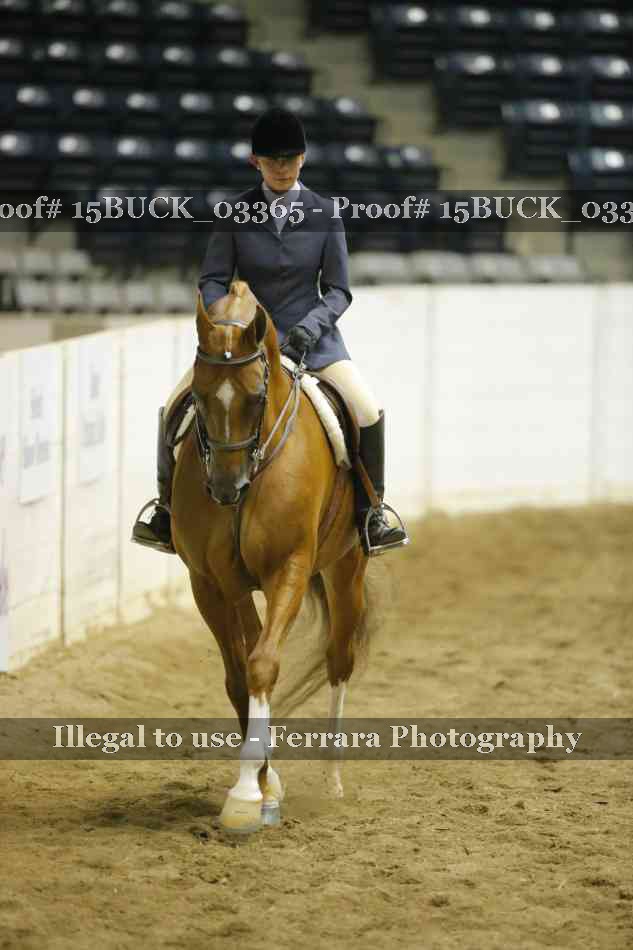 Proof Number 15BUCK_03365
