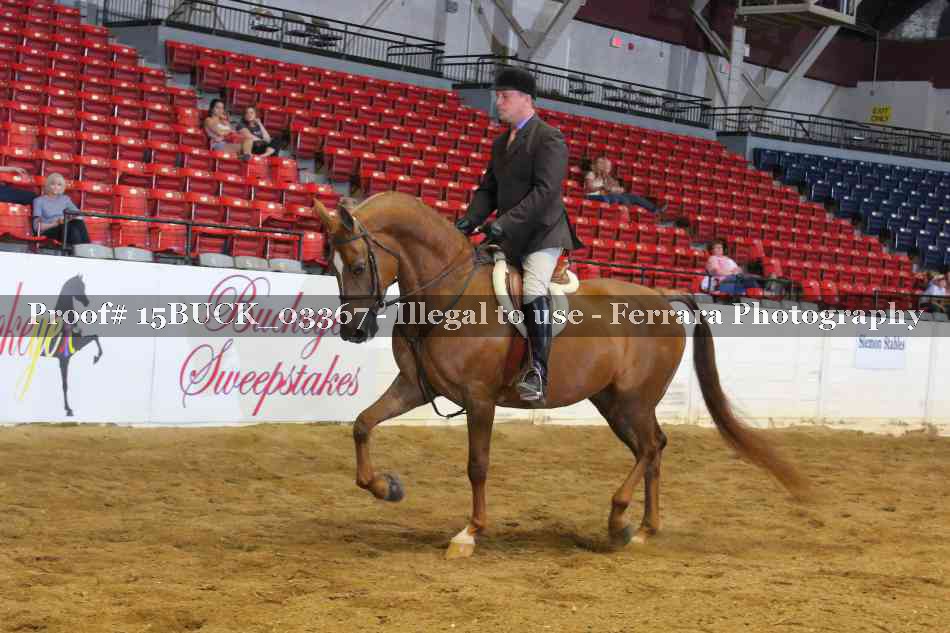 Proof Number 15BUCK_03367