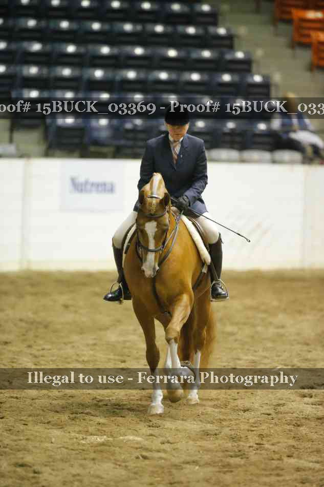 Proof Number 15BUCK_03369