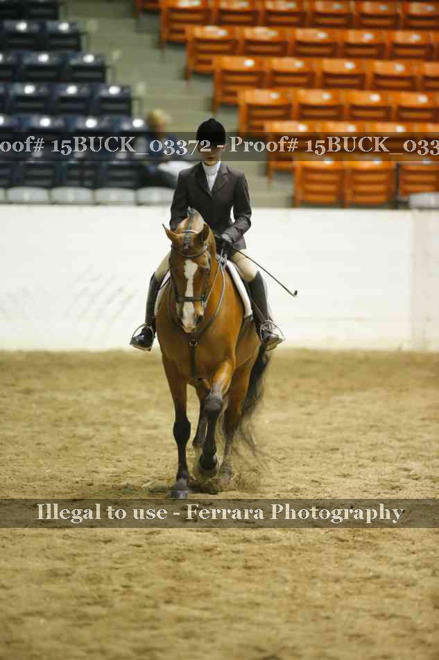 Proof Number 15BUCK_03372