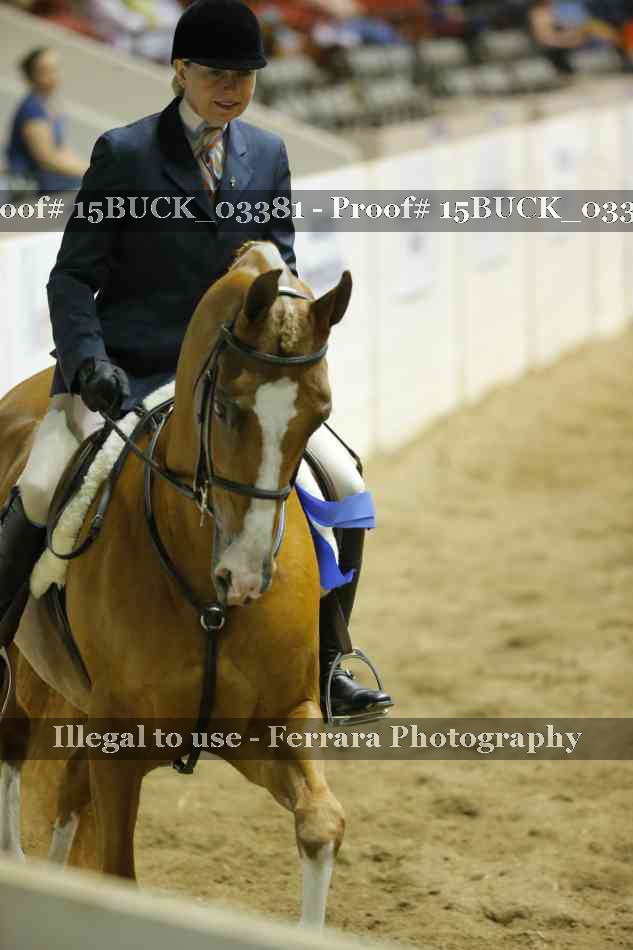 Proof Number 15BUCK_03381