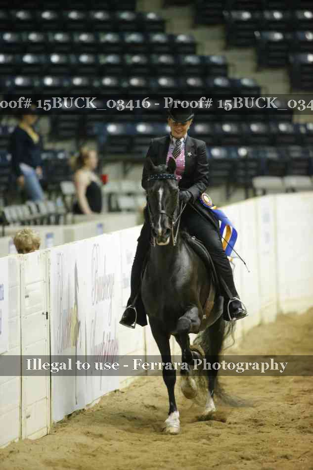 Proof Number 15BUCK_03416