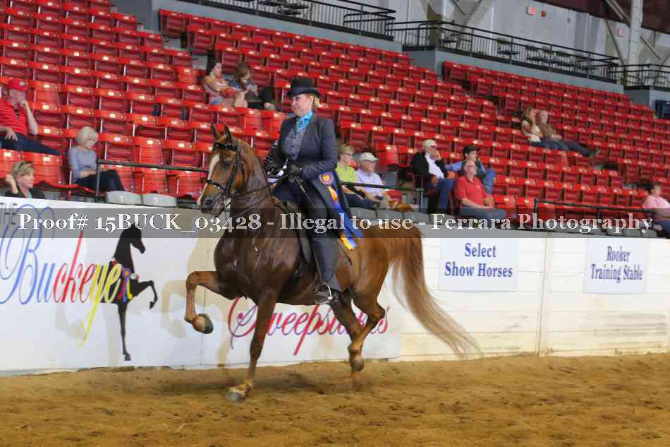 Proof Number 15BUCK_03428