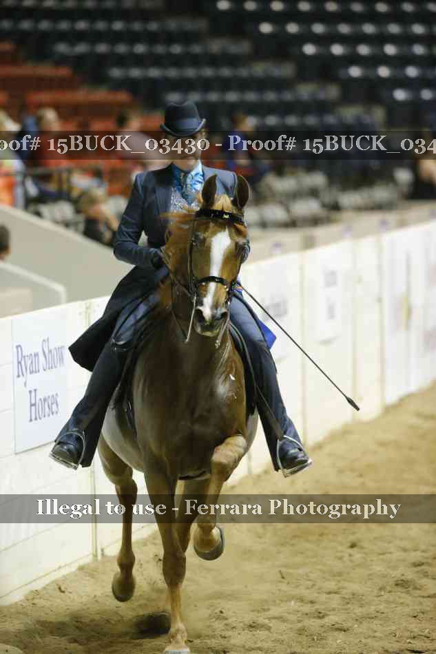 Proof Number 15BUCK_03430