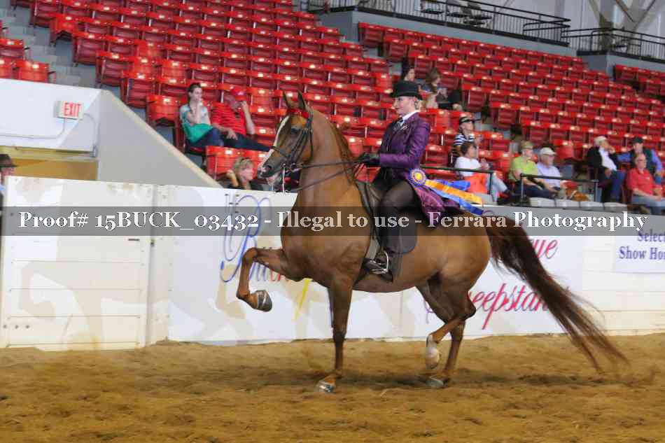 Proof Number 15BUCK_03432