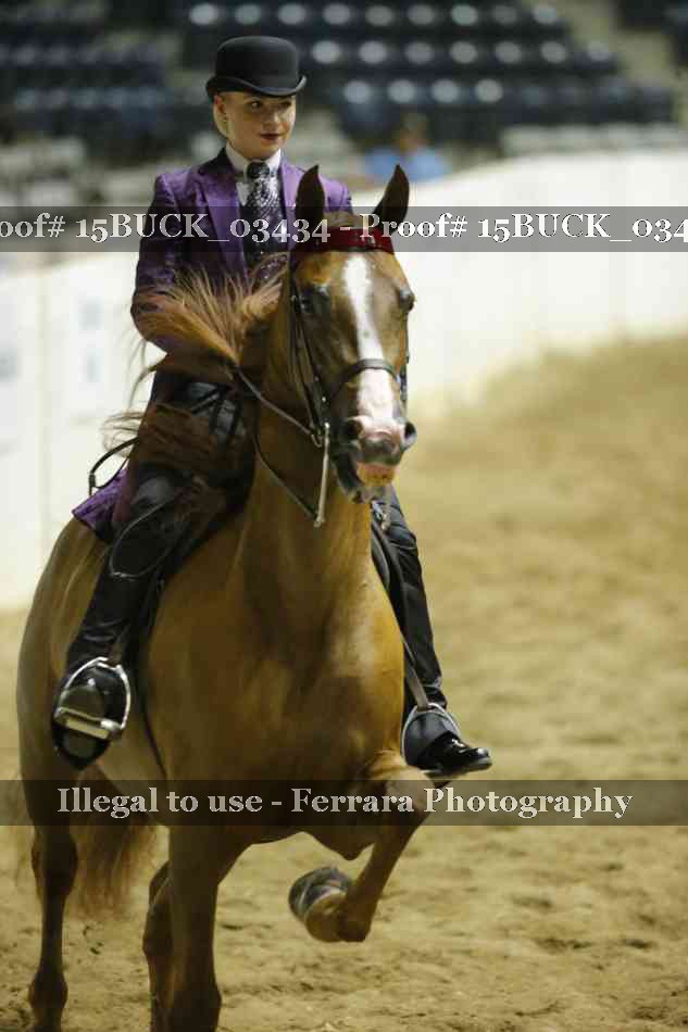 Proof Number 15BUCK_03434