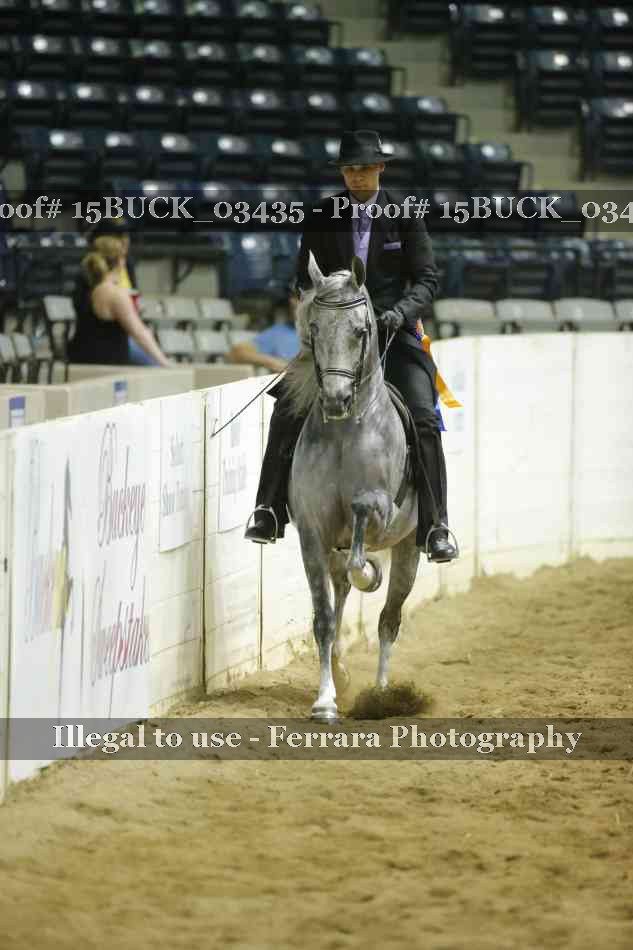 Proof Number 15BUCK_03435