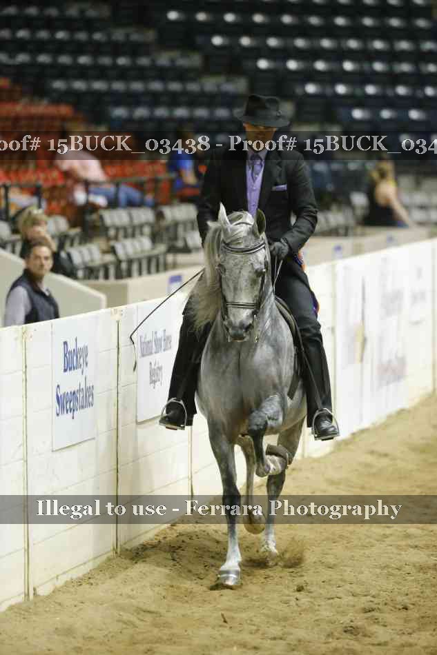 Proof Number 15BUCK_03438
