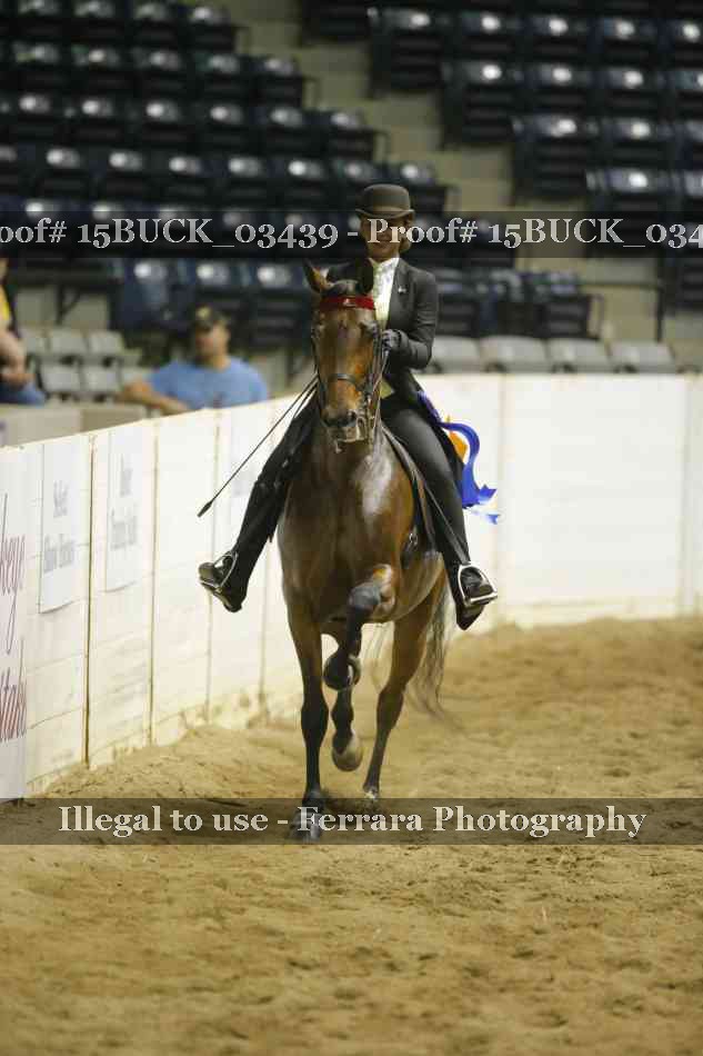 Proof Number 15BUCK_03439